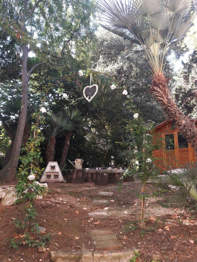 Il Gatto E Il Violino Villa ลิโดดิแฟร์โม ภายนอก รูปภาพ