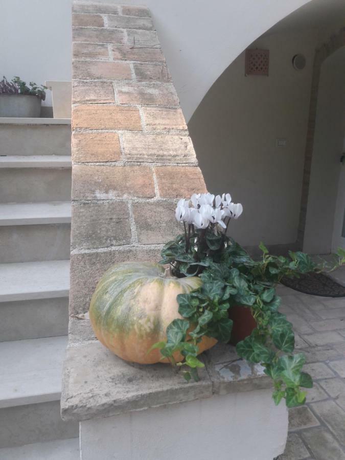 Il Gatto E Il Violino Villa ลิโดดิแฟร์โม ภายนอก รูปภาพ